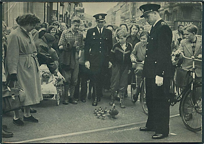 75 Iconic Animal Photos From All Over The World