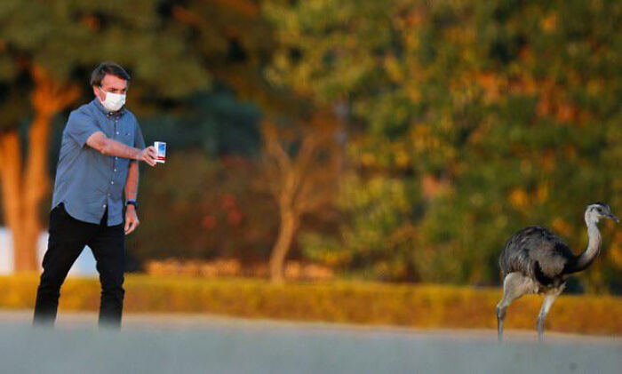 75 Iconic Animal Photos From All Over The World