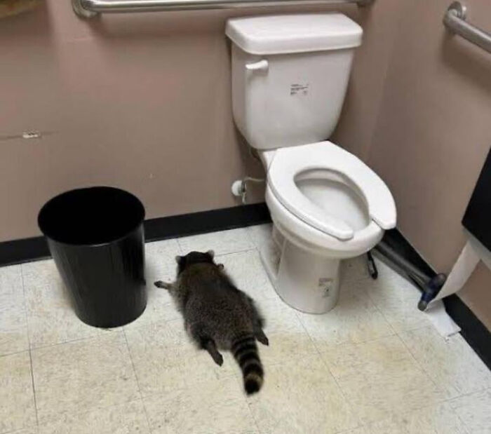 75 Iconic Animal Photos From All Over The World