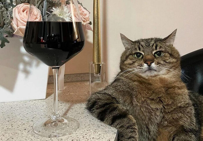 75 Iconic Animal Photos From All Over The World