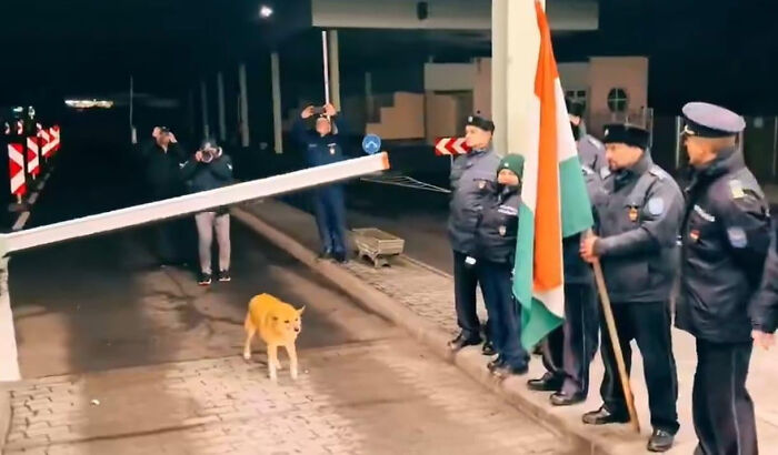 75 Iconic Animal Photos From All Over The World