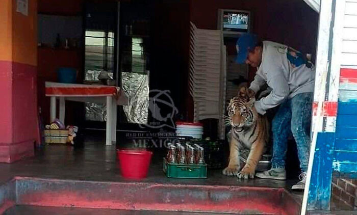 75 Iconic Animal Photos From All Over The World