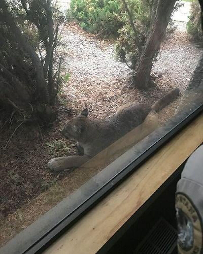 75 Iconic Animal Photos From All Over The World