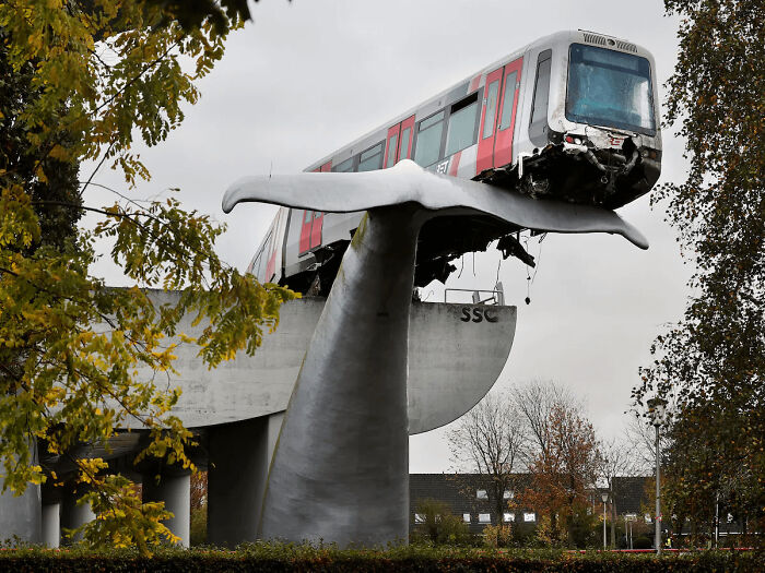 75 Iconic Animal Photos From All Over The World