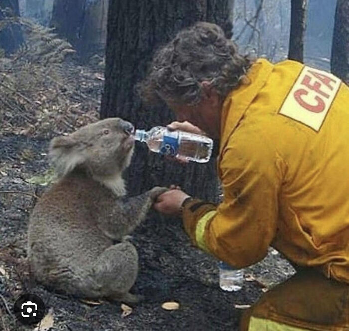 75 Iconic Animal Photos From All Over The World