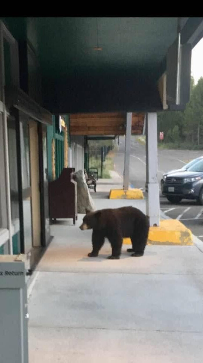 75 Iconic Animal Photos From All Over The World