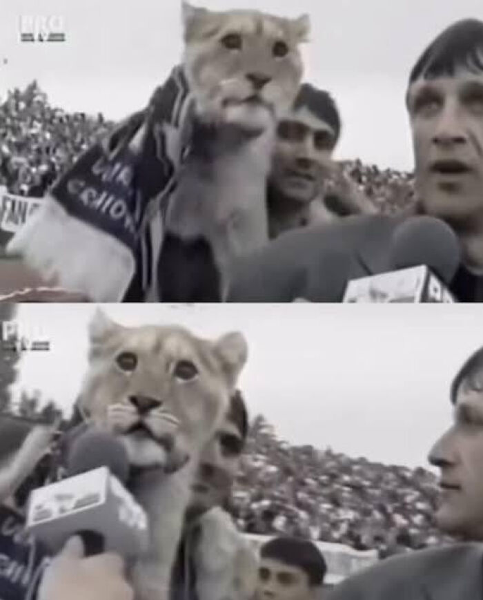 75 Iconic Animal Photos From All Over The World