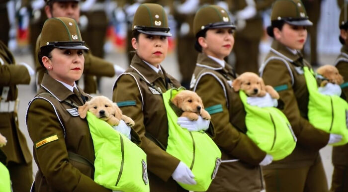 75 Iconic Animal Photos From All Over The World