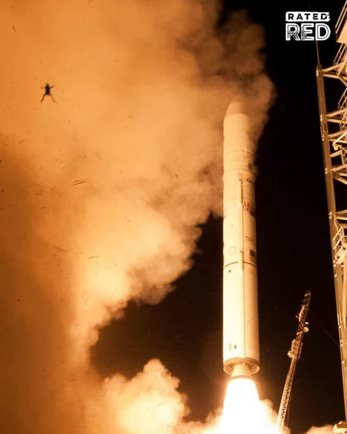 75 Iconic Animal Photos From All Over The World