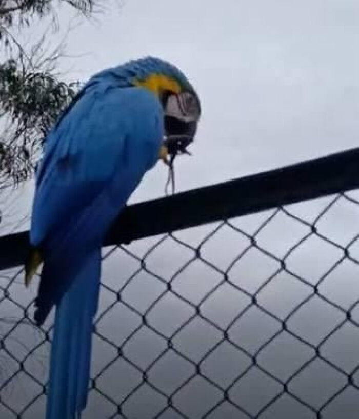 75 Iconic Animal Photos From All Over The World