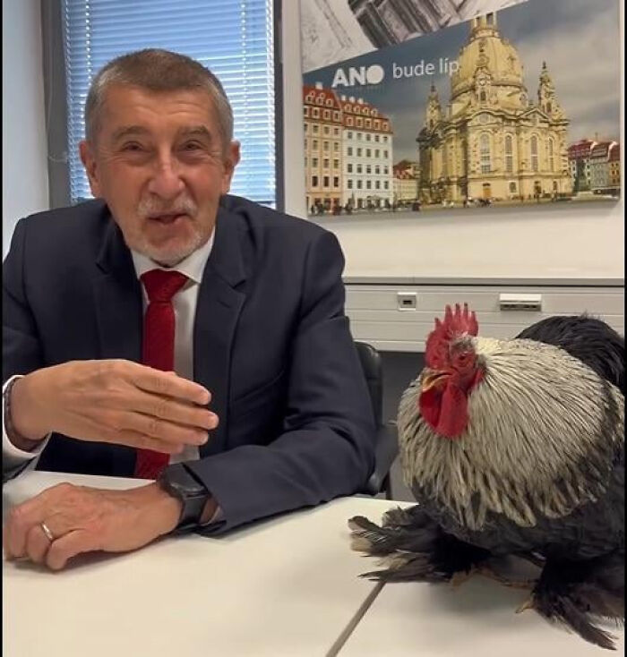 75 Iconic Animal Photos From All Over The World