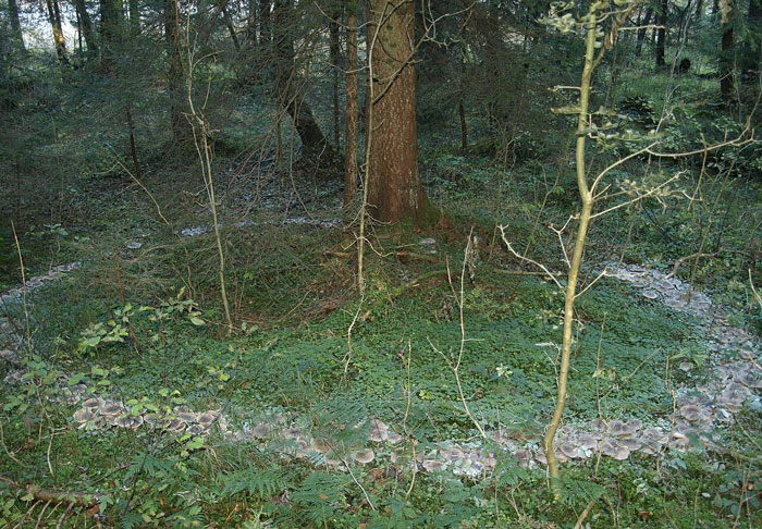 &ldquo;I Think It&rsquo;s Where The Aliens Are&rdquo;: 69 Urban Legends That Still Freak People Out