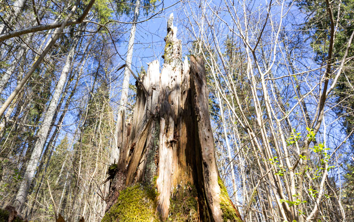 &ldquo;I Think It&rsquo;s Where The Aliens Are&rdquo;: 69 Urban Legends That Still Freak People Out