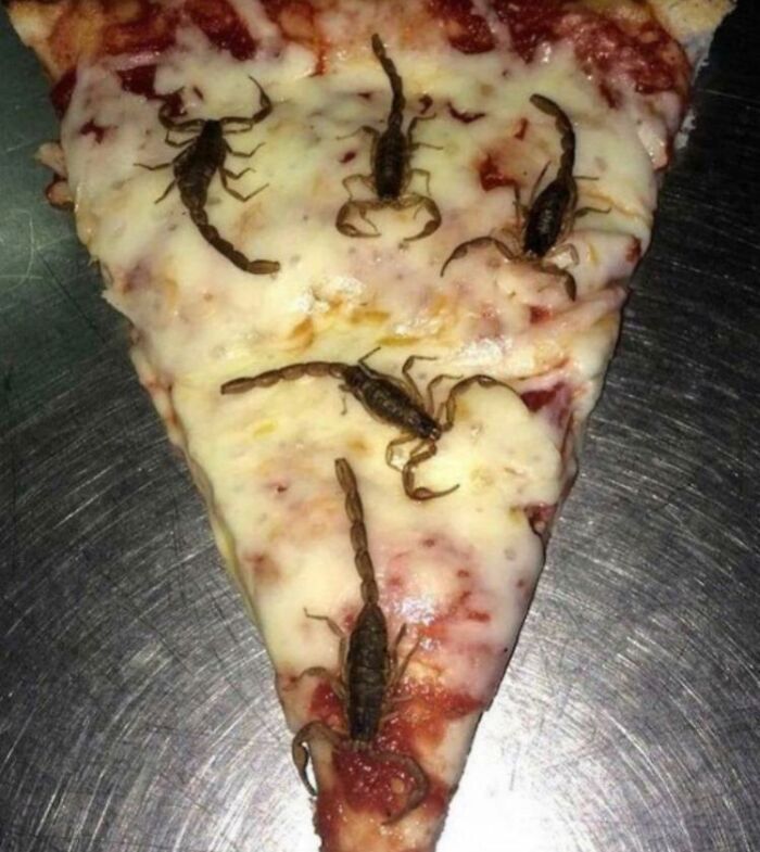 &ldquo;Apple Mayo Sandwich&rdquo;: 73 Cursed Food Pics Straight From The Depths Of Hell