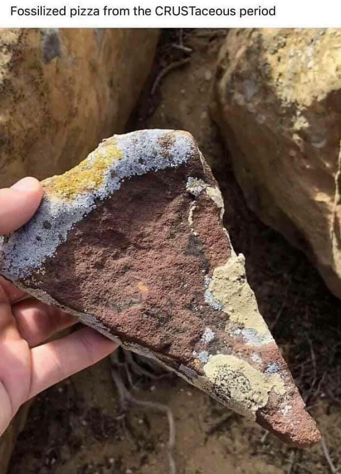 &ldquo;Apple Mayo Sandwich&rdquo;: 73 Cursed Food Pics Straight From The Depths Of Hell