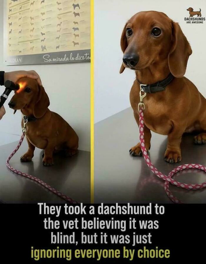 99 Times People “Found Satan” In These Evil But Harmless Posts