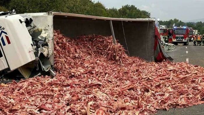 &ldquo;Duct Tape Won&rsquo;t Help&rdquo;: 69 Times People&rsquo;s Mistakes Came With A Huge Price Tag (New Pics)