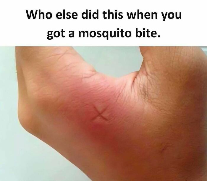 97 Memes From The &rsquo;90s That Might Take You On A Wild And Amazing Nostalgia Ride