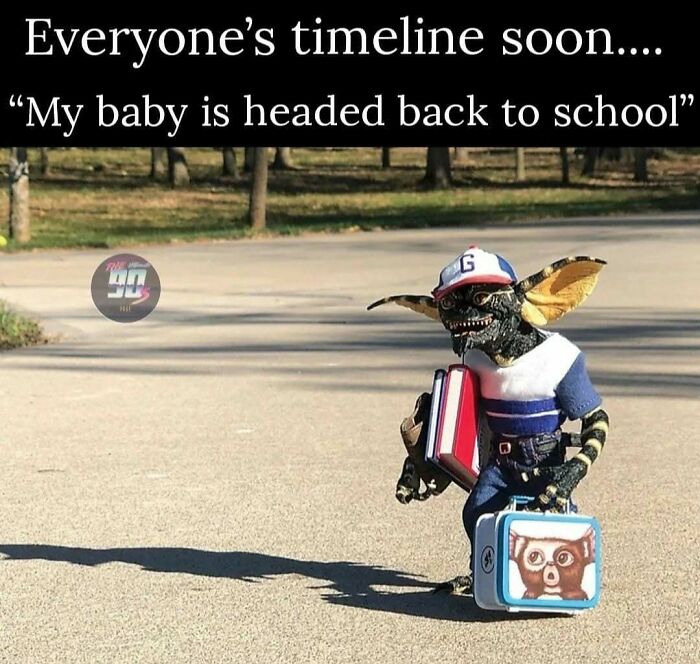 97 Memes From The &rsquo;90s That Might Take You On A Wild And Amazing Nostalgia Ride