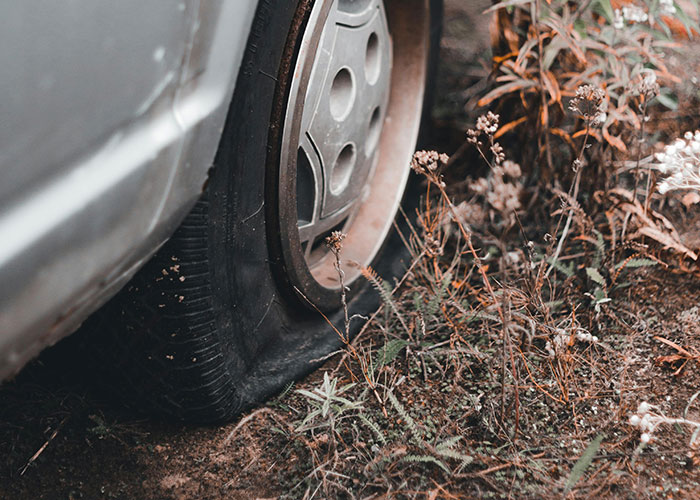 Woman Takes Petty Revenge To Teach Entitled Trespasser A Lesson When Nothing Else Works