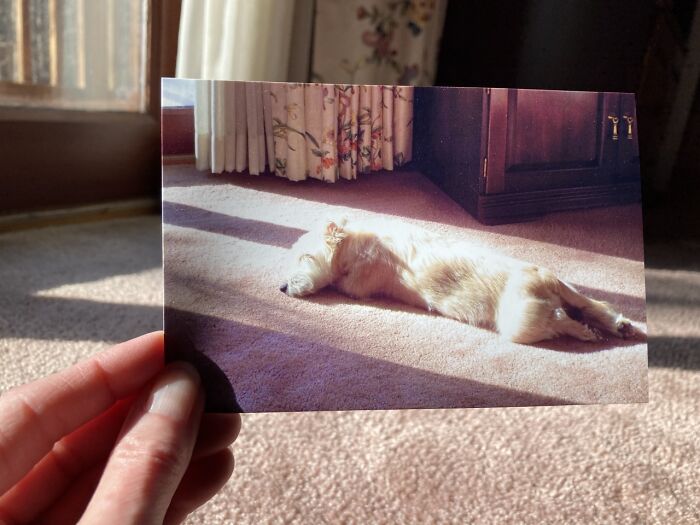 40 &ldquo;Dear Photograph&rdquo; Moments Where People Revisit Their Past In The Most Emotional Way