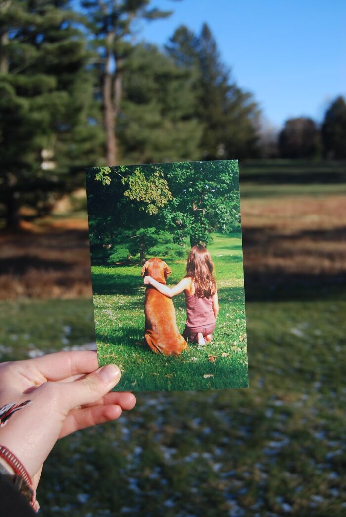 40 &ldquo;Dear Photograph&rdquo; Moments Where People Revisit Their Past In The Most Emotional Way