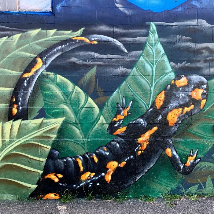 50 Murals By &lsquo;The Color Wizard&rsquo; That Bring Color And Character To Public Spaces