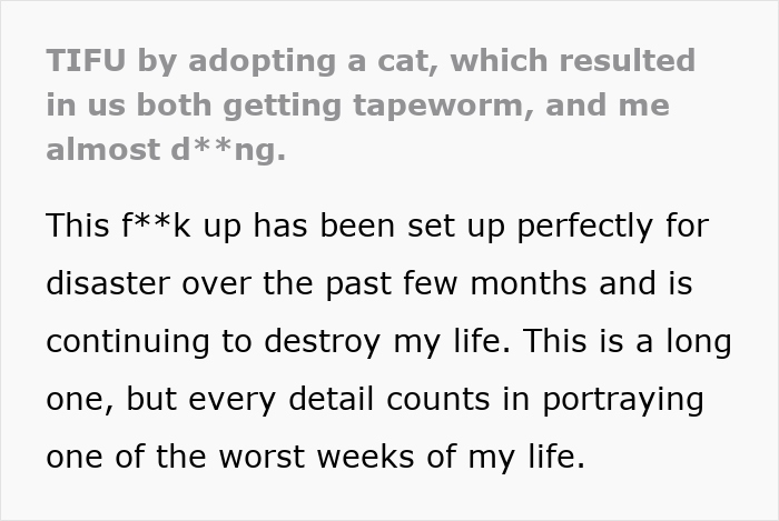 Woman Brings Home Cute Senior Cat, Accidentally Signs Up For Matching Tapeworms And Expensive Regret