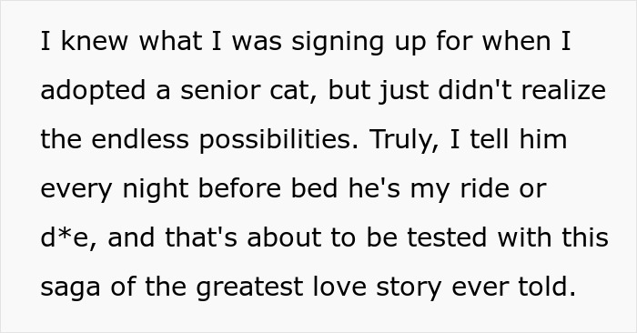 Woman Brings Home Cute Senior Cat, Accidentally Signs Up For Matching Tapeworms And Expensive Regret