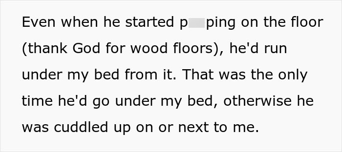 Woman Brings Home Cute Senior Cat, Accidentally Signs Up For Matching Tapeworms And Expensive Regret