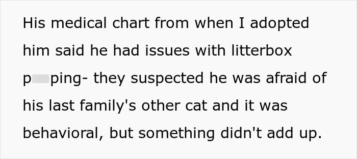 Woman Brings Home Cute Senior Cat, Accidentally Signs Up For Matching Tapeworms And Expensive Regret