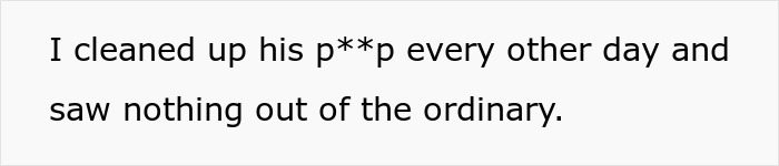 Woman Brings Home Cute Senior Cat, Accidentally Signs Up For Matching Tapeworms And Expensive Regret