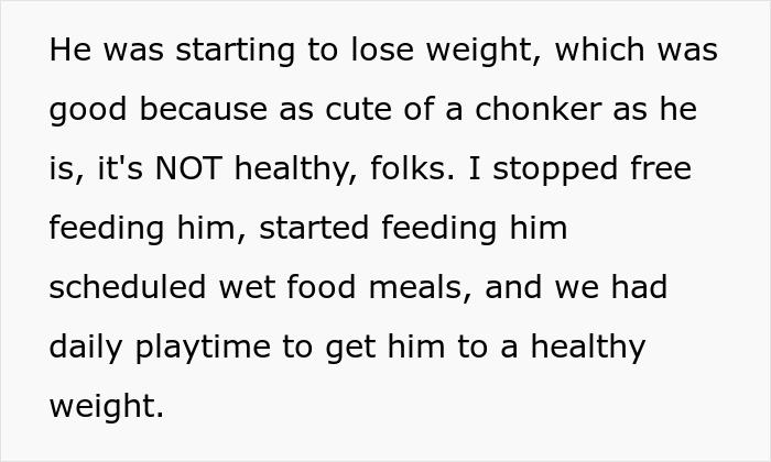 Woman Brings Home Cute Senior Cat, Accidentally Signs Up For Matching Tapeworms And Expensive Regret