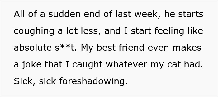 Woman Brings Home Cute Senior Cat, Accidentally Signs Up For Matching Tapeworms And Expensive Regret