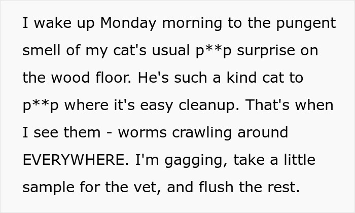 Woman Brings Home Cute Senior Cat, Accidentally Signs Up For Matching Tapeworms And Expensive Regret