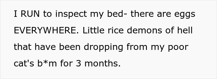 Woman Brings Home Cute Senior Cat, Accidentally Signs Up For Matching Tapeworms And Expensive Regret