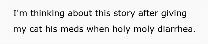 Woman Brings Home Cute Senior Cat, Accidentally Signs Up For Matching Tapeworms And Expensive Regret