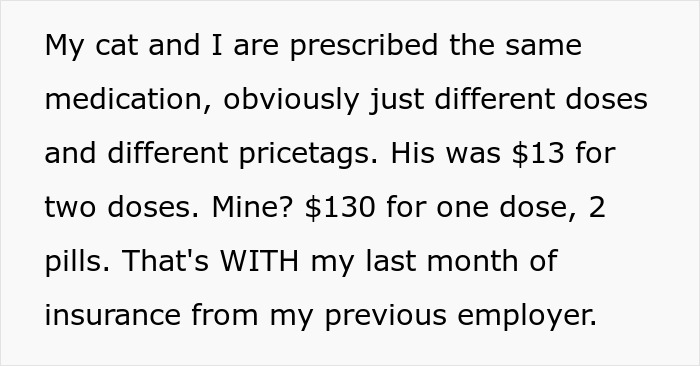 Woman Brings Home Cute Senior Cat, Accidentally Signs Up For Matching Tapeworms And Expensive Regret