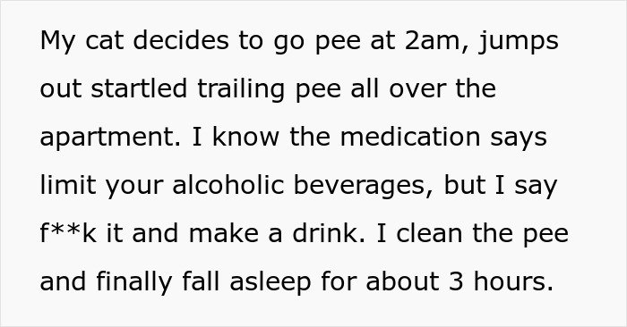 Woman Brings Home Cute Senior Cat, Accidentally Signs Up For Matching Tapeworms And Expensive Regret