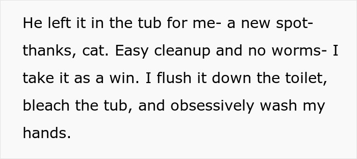 Woman Brings Home Cute Senior Cat, Accidentally Signs Up For Matching Tapeworms And Expensive Regret