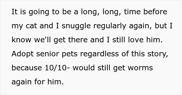 Woman Brings Home Cute Senior Cat, Accidentally Signs Up For Matching Tapeworms And Expensive Regret