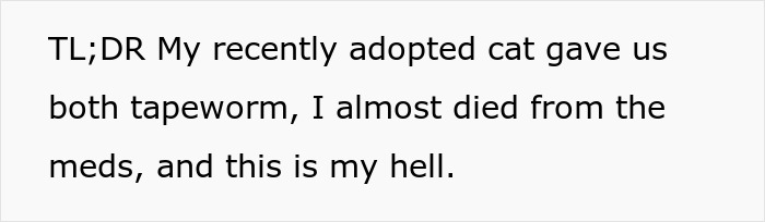 Woman Brings Home Cute Senior Cat, Accidentally Signs Up For Matching Tapeworms And Expensive Regret