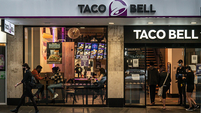 Woman Brings Home Cute Senior Cat, Accidentally Signs Up For Matching Tapeworms And Expensive Regret