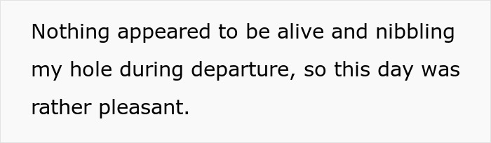 Woman Brings Home Cute Senior Cat, Accidentally Signs Up For Matching Tapeworms And Expensive Regret