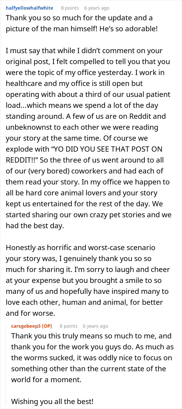 Woman Brings Home Cute Senior Cat, Accidentally Signs Up For Matching Tapeworms And Expensive Regret