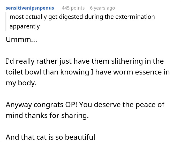 Woman Brings Home Cute Senior Cat, Accidentally Signs Up For Matching Tapeworms And Expensive Regret