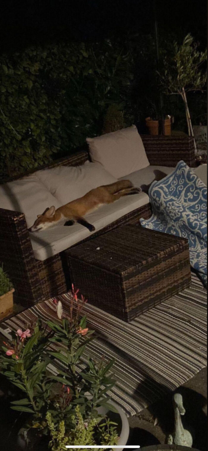 &ldquo;Devil Sunrise&rdquo;: 71 Interesting Photos That Might Show You Something You Haven&rsquo;t Seen Before (New Pics)