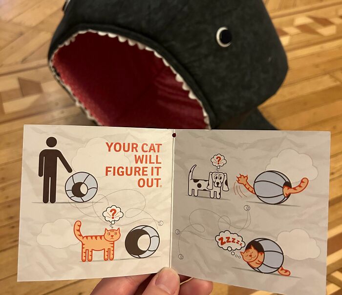 49 Times Instructions Were Technically There But Completely Useless