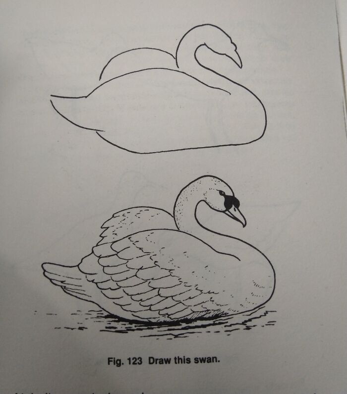 49 Times Instructions Were Technically There But Completely Useless