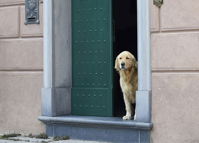 &ldquo;$200 Worth Of Pizza For $1.3M&rdquo;: 85 Times The Ultra-Rich Spent Money In Ways That Feel Almost Offensive